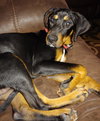 Cletus
