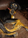 Cletus