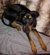 Cletus