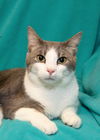 Barry *BONDED WITH ANASTASIA*AKA Smokey
