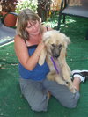 Dixie the Golden Retriever Puppy