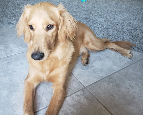 Riley