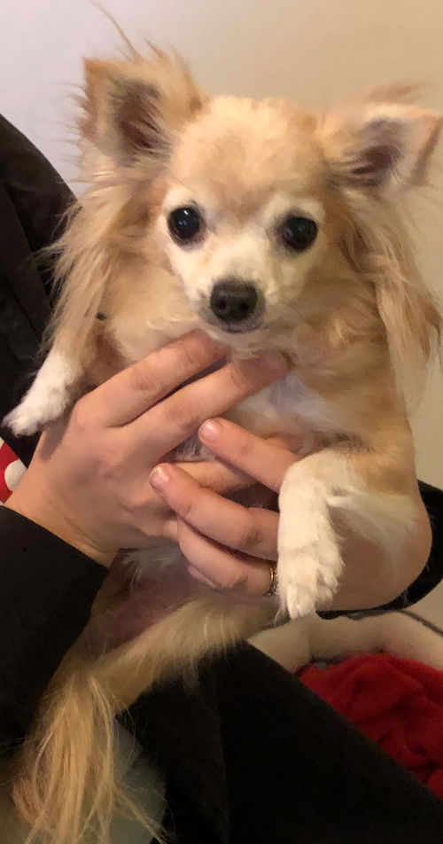 Bella