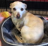 Minnie *BONDED WITH MICKEY*