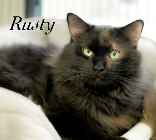 Rusty