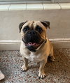 Rudy
