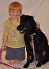 Dixie the Lab