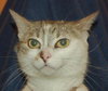 Muffin the talker and greeter