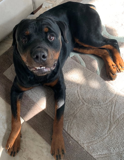 Arthur B. Moose