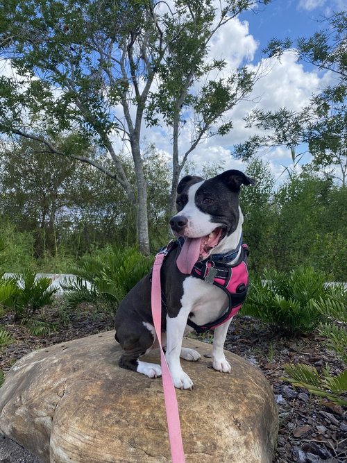 Minnie Mae