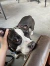 Minnie Mae