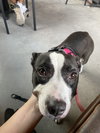 Minnie Mae