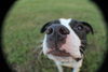 Maggie