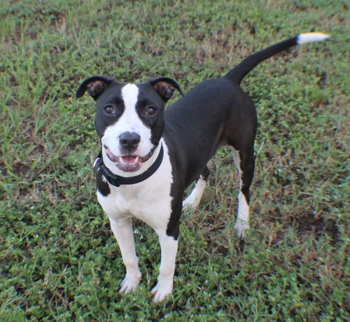 Maggie