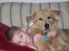 Mykey the Golden Retriever