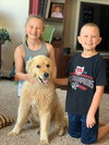 Mykey the Golden Retriever