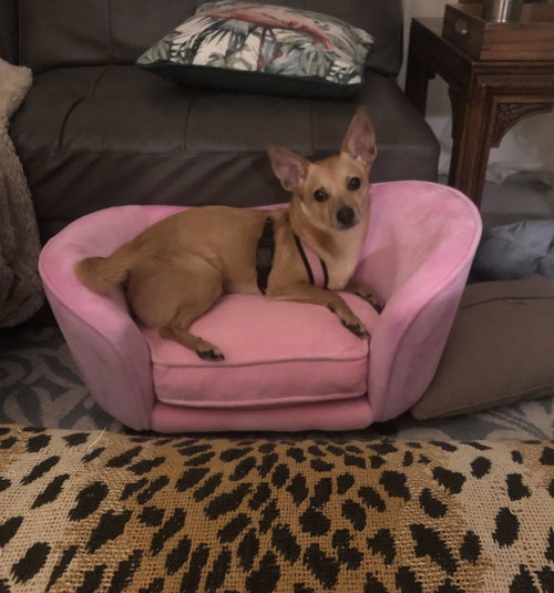 Princess Mimi