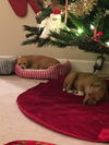 Tia *BONDED WITH TAMARA*