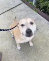 Betty The Sweet Girl