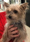 Mia  *BONDED WITH TINKERBELL*