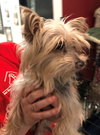 Mia  *BONDED WITH TINKERBELL*