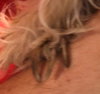 Mia  *BONDED WITH TINKERBELL*