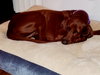Reba