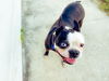 Patch * BONDED WITH BAYBAY**