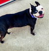 Patch * BONDED WITH BAYBAY**