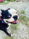 Patch * BONDED WITH BAYBAY**