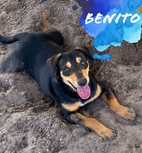 Benito