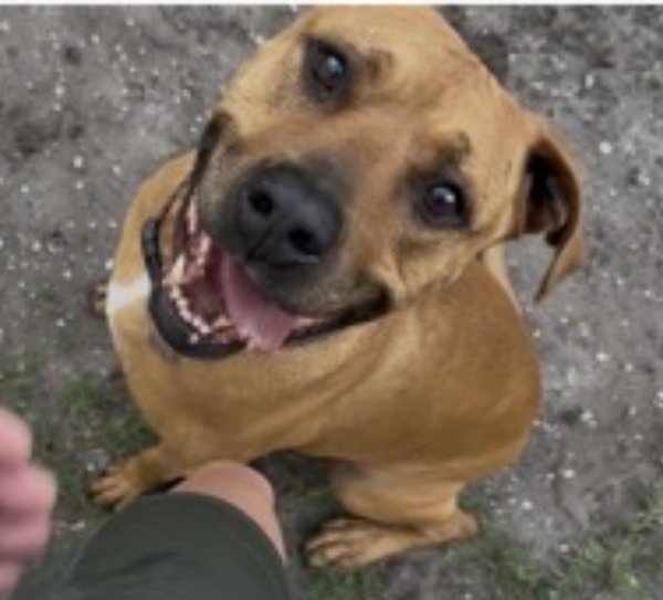 Mopar