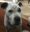Max ~ the ladybug lover!
