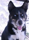 Max