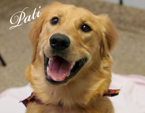 Pati
