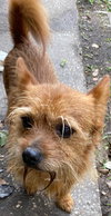 Jake