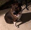Molly
