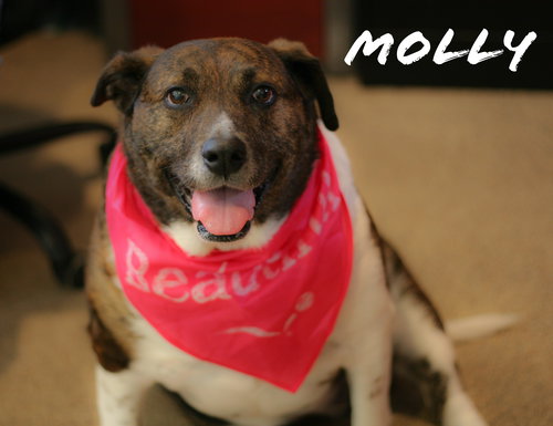 Molly
