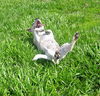 Marigold, My Favorite Puppy