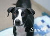 Sandra