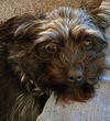 Maggie