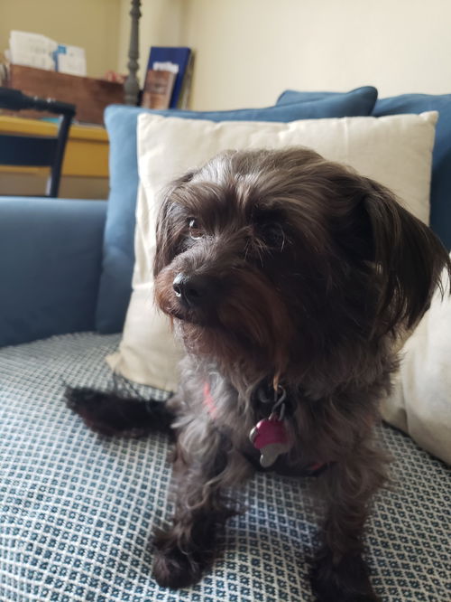 Maggie