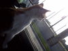 Jean the Back Seat Driver (Video)