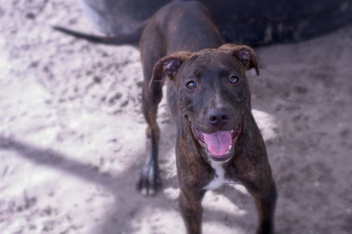 Ellie