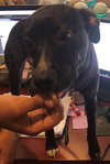 Cleo