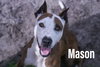 Mason