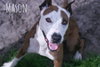 Mason