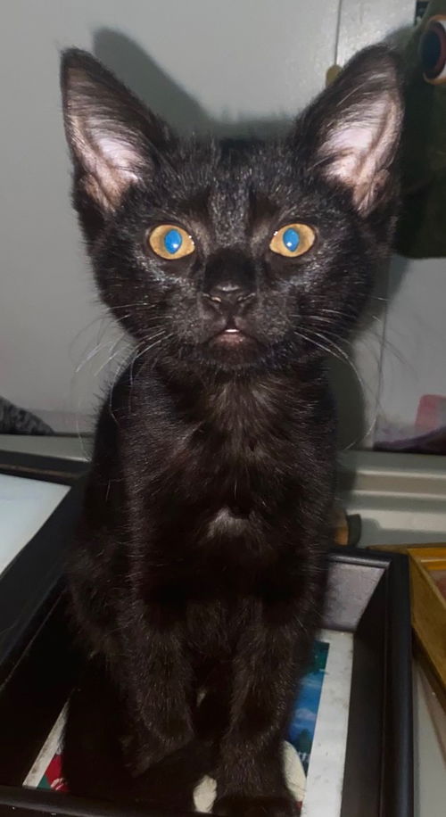 Salem