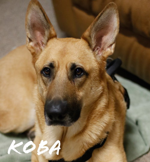 Koba