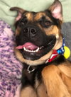 Max